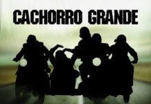 Cachorro Grande Invade O Araujo Vianna