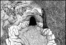 Album Review: Nattfly – Sånger för den kalla modern