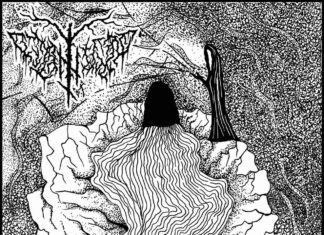 Album Review: Nattfly – Sånger för den kalla modern