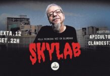 Rogério Skylab em Blumenau