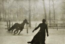 REVIEW DISC: Karg – A beleza gélida e experimental de Marodeur