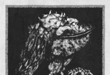 REVIEW DISC: Ruaß, o peso de uma reflexão e a maestria do Nekrodeus