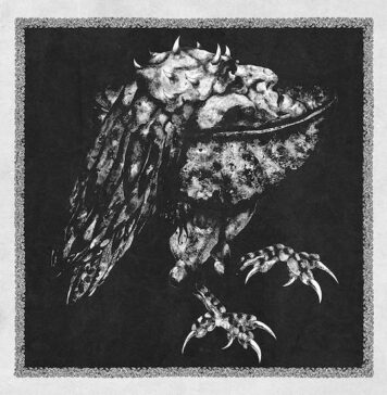 REVIEW DISC: Ruaß, o peso de uma reflexão e a maestria do Nekrodeus