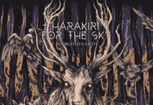 REVIEW DISC: Harakiri For The Sky – quando o desespero se torna uma obra-prima