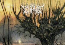 Album Review: Schavot- Verstrikt In Halflicht