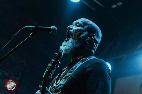 Zola, Fotografia por @jonathanmohamedphoto