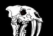 Red Fang, único show na Alemanha no DesertFest Berlin, 15 de maio