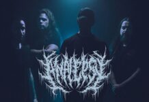 Entrevista | Analepsy: Um ciclo fechado, um novo capítulo a começar