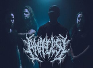 Entrevista | Analepsy: Um ciclo fechado, um novo capítulo a começar