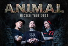 A.N.I.M.A.L. volta ao México.