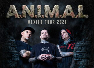 A.N.I.M.A.L. anuncia turnê pelo México com shows intensos — México