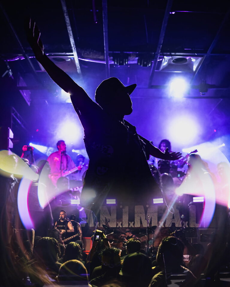 REVIEW. A.N.I.M.A.L e sua linda segunda noite na CDMX.