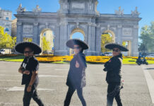 Entrevista: Calverx – Mex
