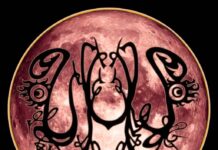 A banda Under Moonlight Sadness fará sua última apresentação no Candelabrum Metal Fest, em GTO, México.