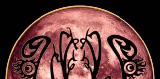 A banda Under Moonlight Sadness fará sua última apresentação no Candelabrum Metal Fest, em GTO, México.
