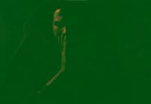 Corrosivo Explícito lança clipe como prévia de novo disco!