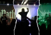 REVIEW REPORT | LAURUS NOBILIS – 16.07.2026