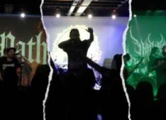 REVIEW REPORT | LAURUS NOBILIS – 16.07.2026