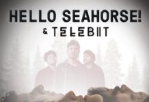 Hello Seahorse! regressa a Bogotá para apresentar junto a TELEBIT no Lourdes Music Hall