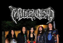 Album Review: Maidenhead – “Maximum Clonage”